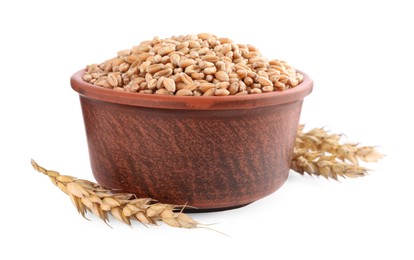 Bowl with wheat grains and spikes on white background