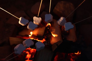 Delicious marshmallows roasting over bonfire outdoors at night, closeup. Camping season