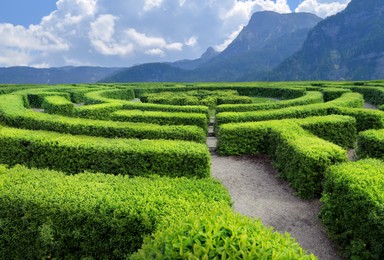 Image of Beautiful view of green hedge maze and mountain landscape on sunny day