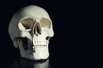 Photo of White human skull on black background, space for text