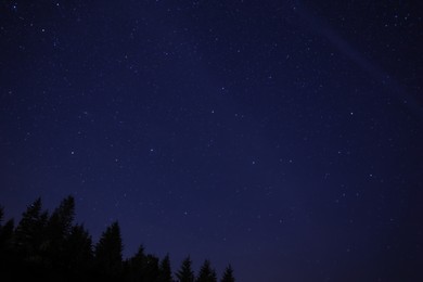 Picturesque view of dark forest and beautiful starry sky at night