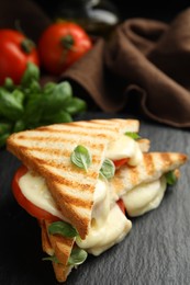 Delicious grilled sandwiches with mozzarella, tomatoes and basil on table. Space for text