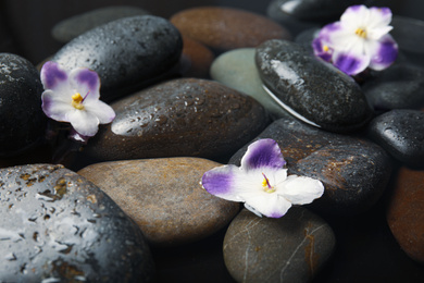 Stones and flowers in water as background, closeup. Zen lifestyle