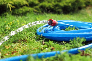 Photo of Water flowing from hose on green grass outdoors, closeup