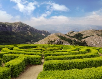 Image of Beautiful view of green hedge maze and mountain landscape on sunny day