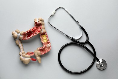 Anatomical model of large intestine and stethoscope on grey background, flat lay. Gastroenterology