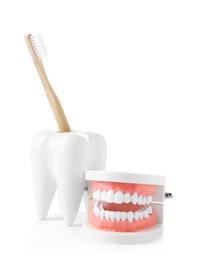 Tooth shaped holder with brush and model of oral cavity on white background