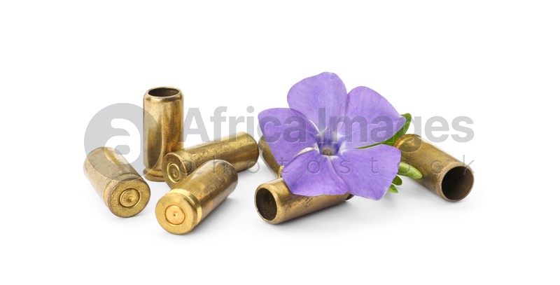 Bullet shells and beautiful flower on white background. Peace instead of war