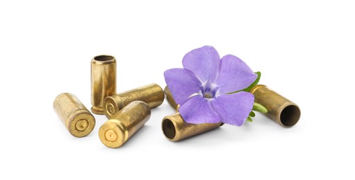 Photo of Bullet shells and beautiful flower on white background. Peace instead of war