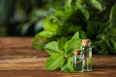 Bottles of mint essential oil and green leaves on wooden table, space for text