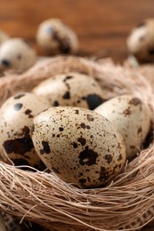 Nest with quail eggs on table, closeup