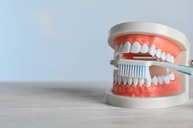 Educational model of oral cavity and toothbrush on table, space for text. Professional dentist