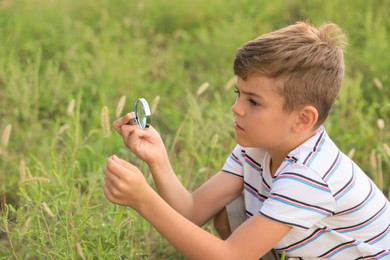 Cute little boy exploring plant outdoors. Child spending time in nature