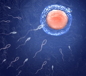 Illustration of Cryopreservation of genetic material. Sperm cells and ovum on blue background, frost effect