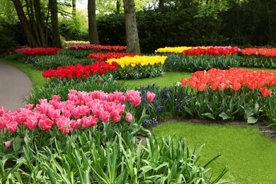 Photo of Park with variety of beautiful flowers. Spring season