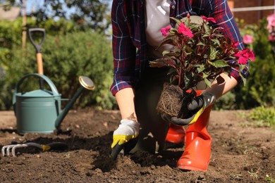 Woman planting flowers outdoors on sunny day, closeup. Gardening time