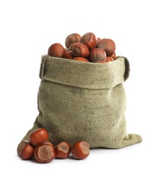 Sack and tasty organic hazelnuts on white background