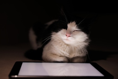 Cute cat sleeping near tablet on couch at home