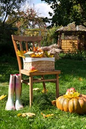 Rubber boots, chair, pumpkin and apples on green grass in park. Autumn atmosphere
