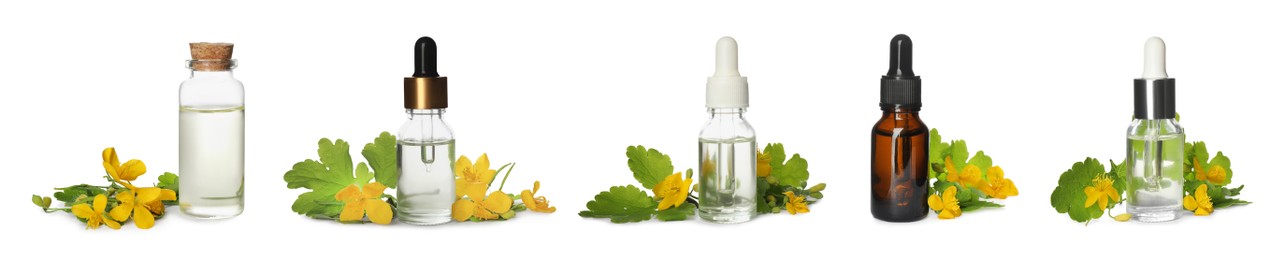 Set with celandine essential oil in bottles on white background. Banner design