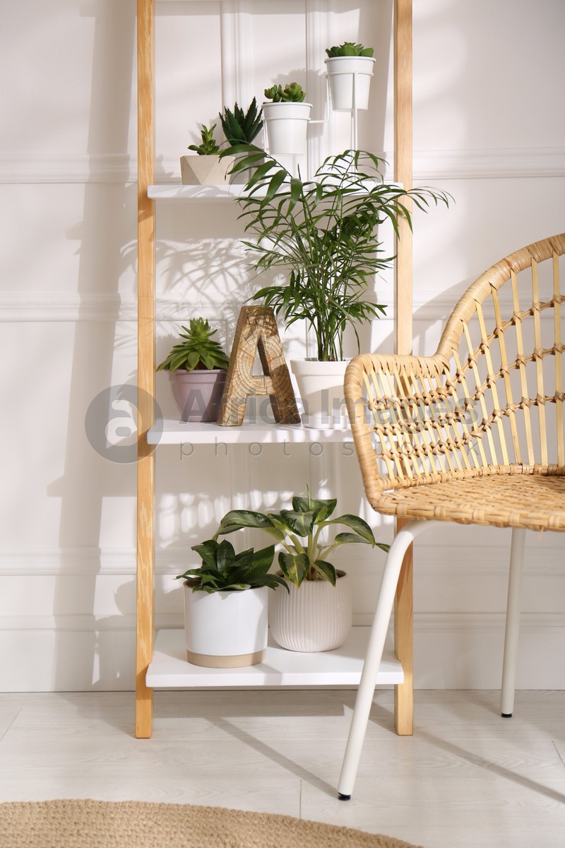 Photo of Elegant decorative ladder with houseplants and chair in light room