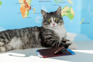 Cute cat, passport, tickets and sunglasses on white table near world map. Travelling with pet
