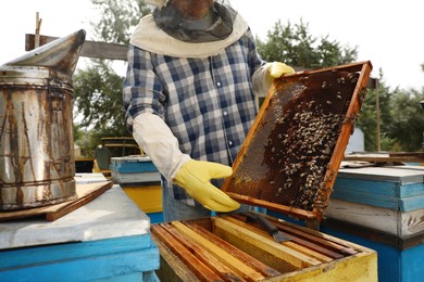 Photo of Beekeeper with hive frame at apiary, closeup. Harvesting honey