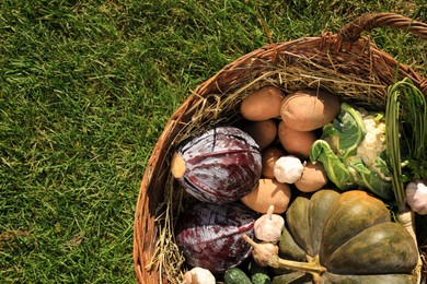 Different fresh ripe vegetables in wicker basket on grass, top view. Space for text