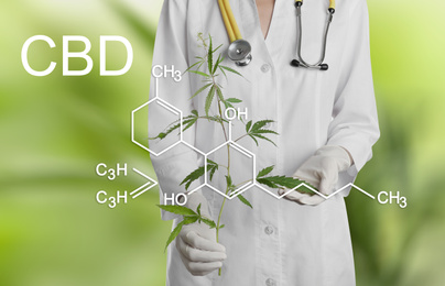 Scientist with hemp plant on green background, closeup. CBD formula