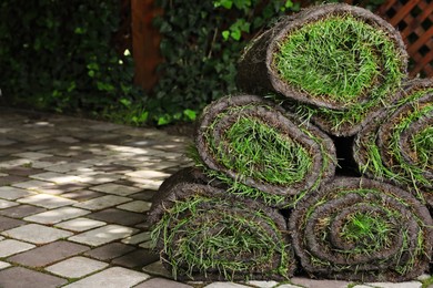 Rolls of sod with grass on backyard