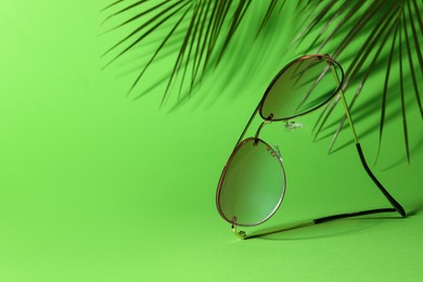 Stylish sunglasses and palm branches on green background. Space for text