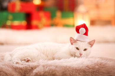 Cute white cat wearing Santa hat on fuzzy carpet in room decorated for Christmas. Adorable pet