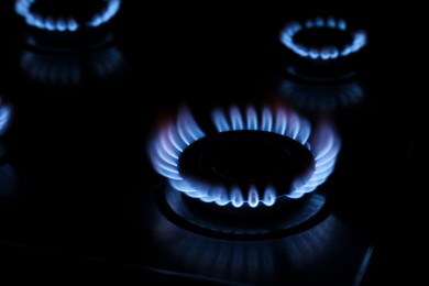 Gas burner with burning blue flames in darkness