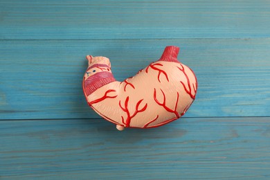 Human stomach model on light blue wooden table, top view