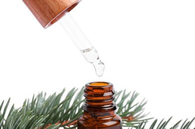 Photo of Dripping pine essential oil from pipette into bottle near branches on white background, closeup