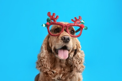 Adorable Cocker Spaniel dog in party glasses on light blue background