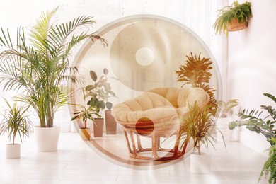 Stylish room interior with beautiful plants and Yin Yang symbol. Feng Shui philosophy 