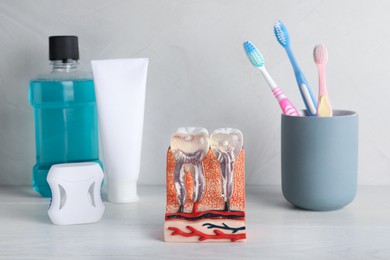 Model of jaw section with teeth near oral care products on white wooden table