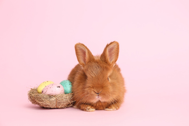 Adorable fluffy bunny and decorative nest with Easter eggs on pink background