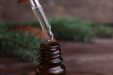 Dripping pine essential oil into bottle at wooden table, closeup