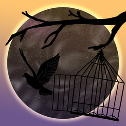 Beautiful illustration demonstrating sense of freedom. Bird leaving cage