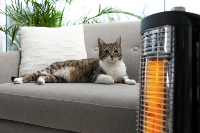 Cute cat on sofa near modern electric halogen heater indoors