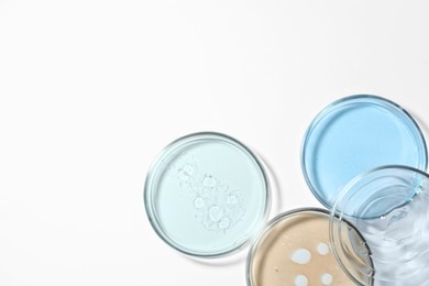 Photo of Petri dishes with color liquids on white background, flat lay. Space for text