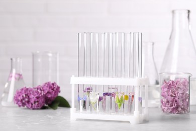 Test tubes with different flowers on light table. Essential oil extraction