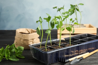 Photo of Vegetable seedlings in plastic tray on table