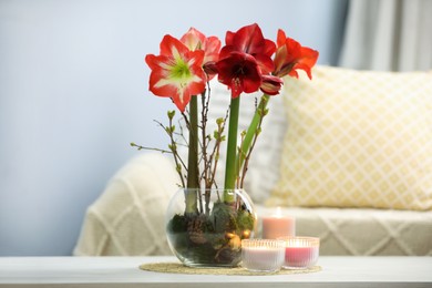 Photo of Beautiful red amaryllis flowers on white table in room