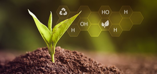 Image of Illustration of chemical formula and young seedling growing in soil outdoors, closeup. Banner design