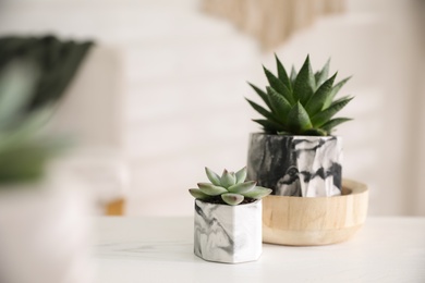 Beautiful potted succulents on white wooden table indoors. Space for text