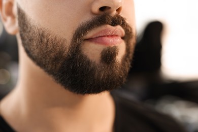 Young man with groomed beard in barbershop, closeup