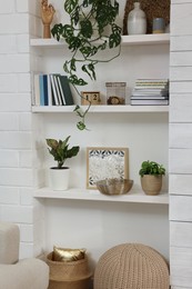Beautiful green plants and different decor on shelves indoors. Interior design